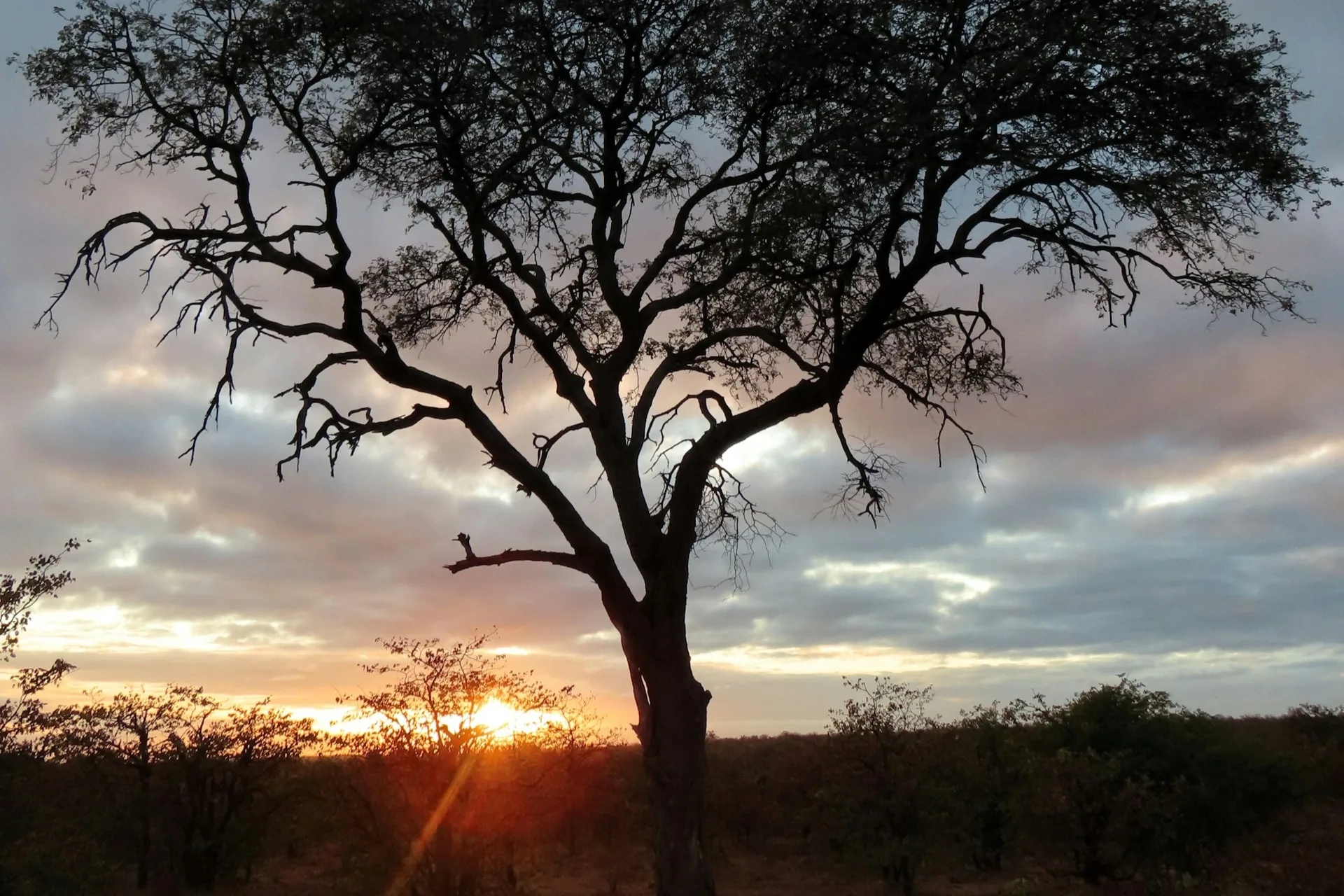 South Africa Archives Acatree Tours