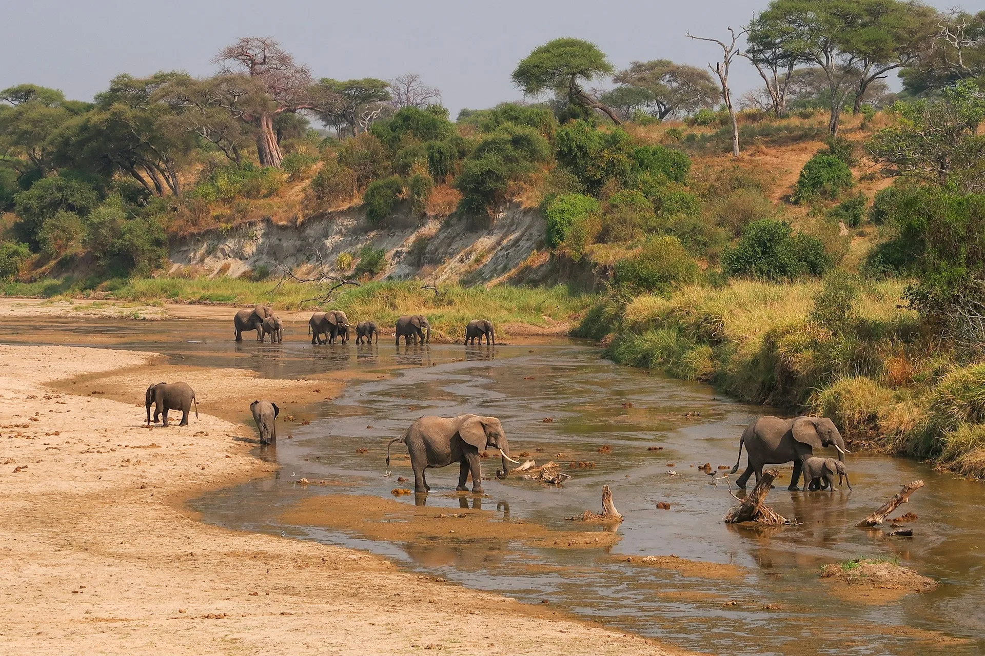 4 DAYS SPECIAL PRIVATE SAFARI