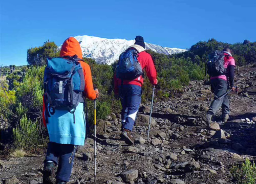6-DAY KILIMANJARO CLIMB VIA THE LEMOSHO ROUTE WITH 2 NIGHTS HOTEL STAY INCLUDED