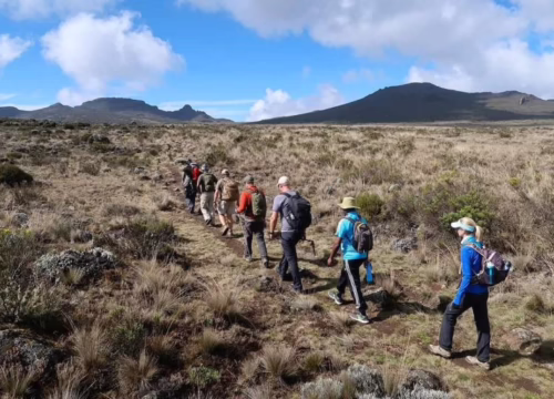 KILIMANJARO CLIMB: SHIRA ROUTE, 8-DAY TREK & 2 NIGHTS HOTEL STAY