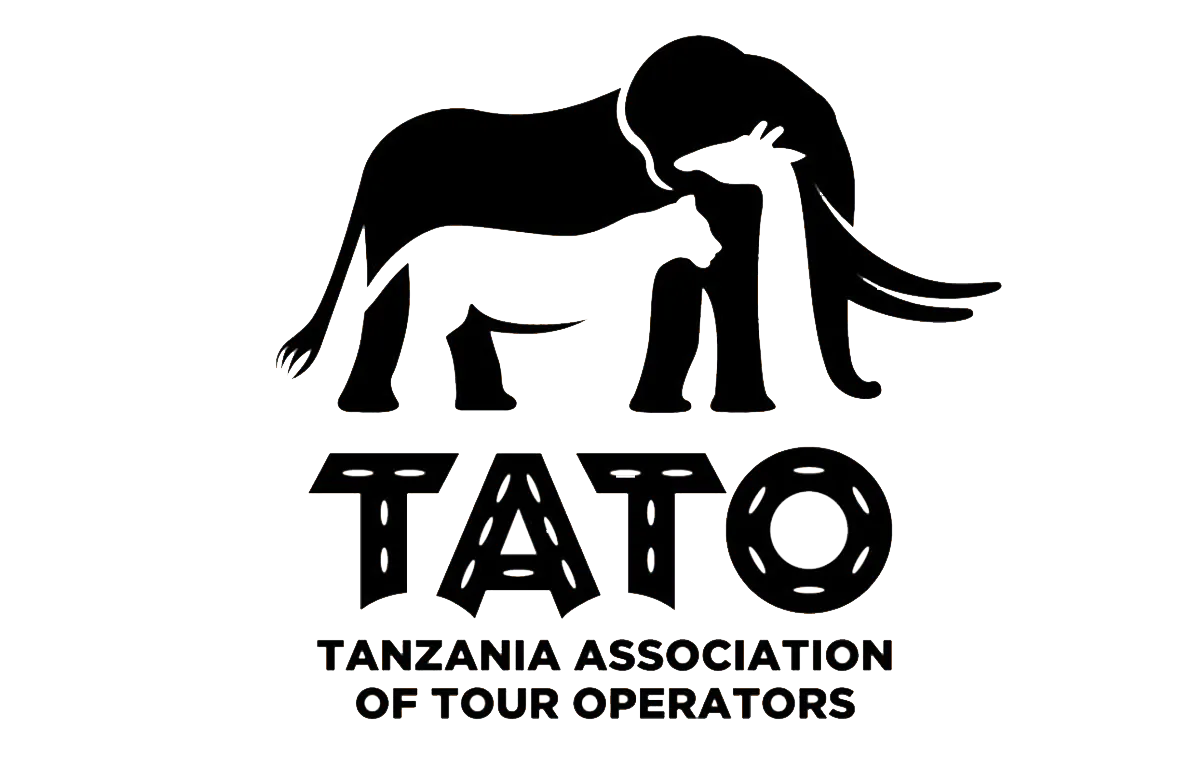 tato-vector-new-