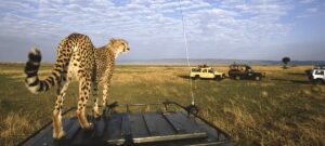 Kenya Safari